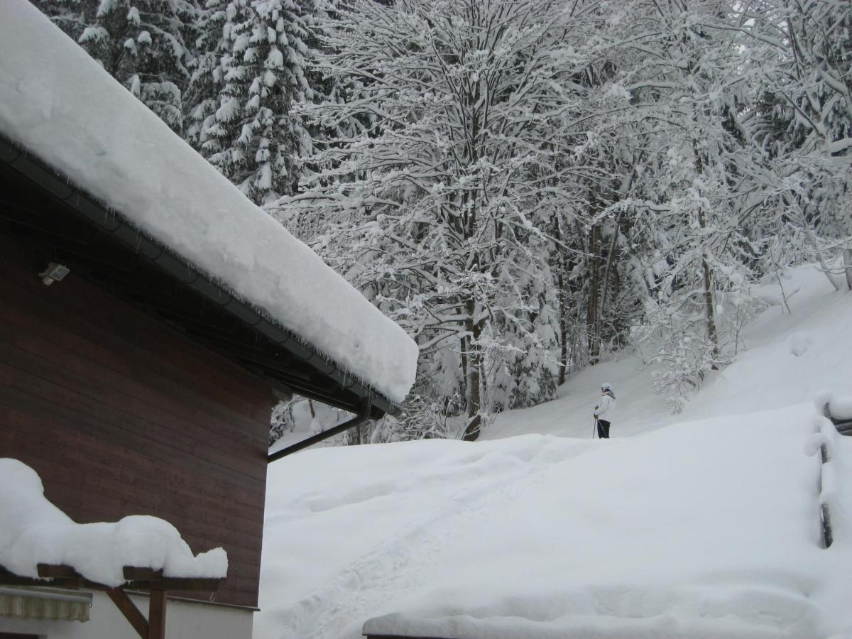 Ski-In Ski-Out Chalet Kriekels - By Alpen Apartments เซลล์อัมเซ ภายนอก รูปภาพ