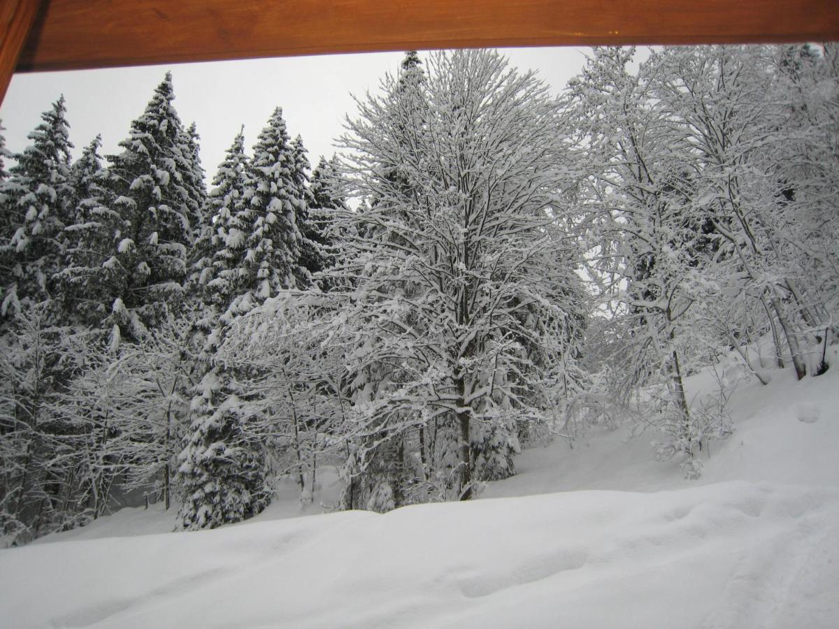 Ski-In Ski-Out Chalet Kriekels - By Alpen Apartments เซลล์อัมเซ ภายนอก รูปภาพ